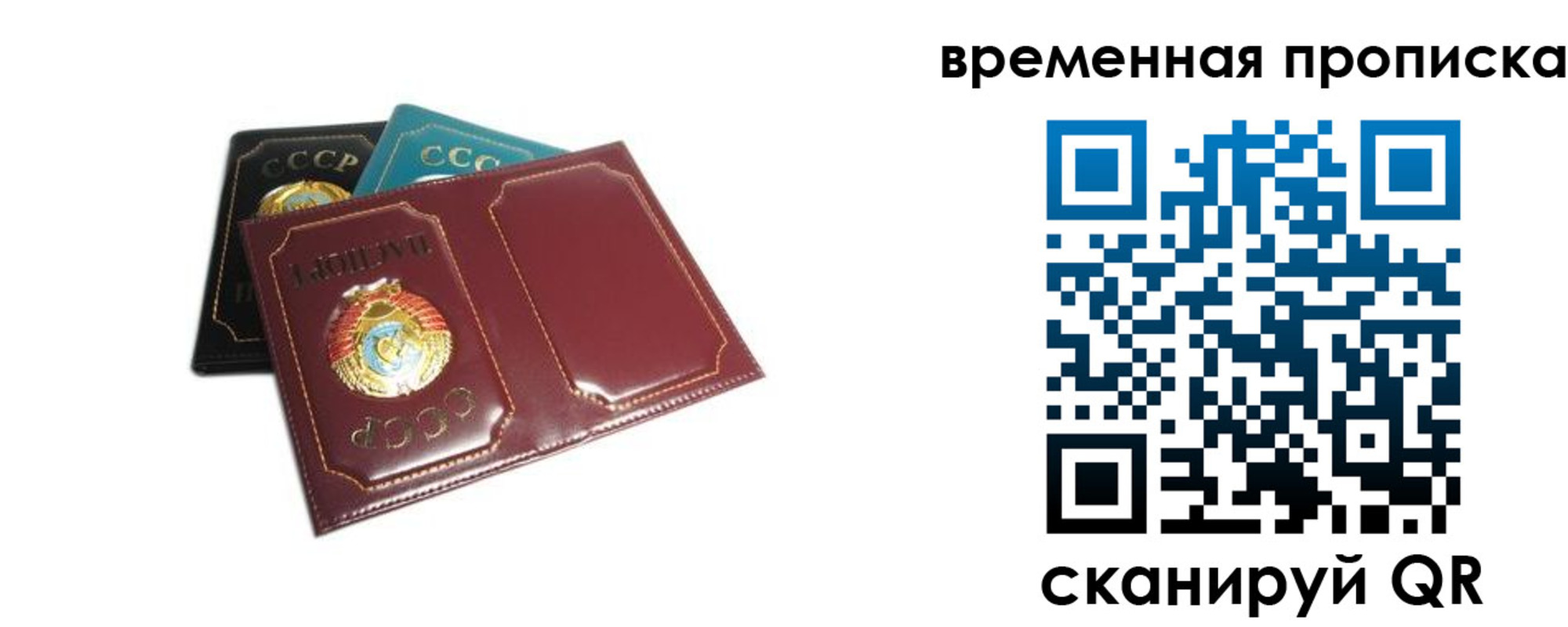 прописка 2025 в Элисте
